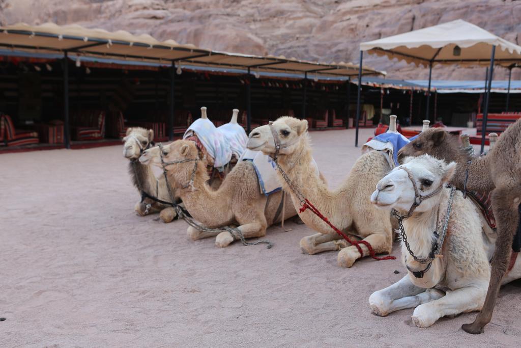 Hotel Sun City Camp Wadi Rum Zewnętrze zdjęcie